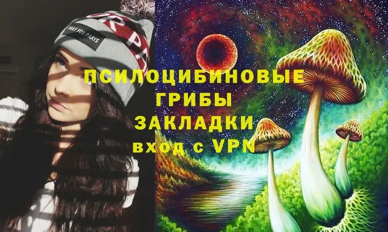 Галлюциногенные грибы Psilocybe  МЕГА как войти  Болохово 